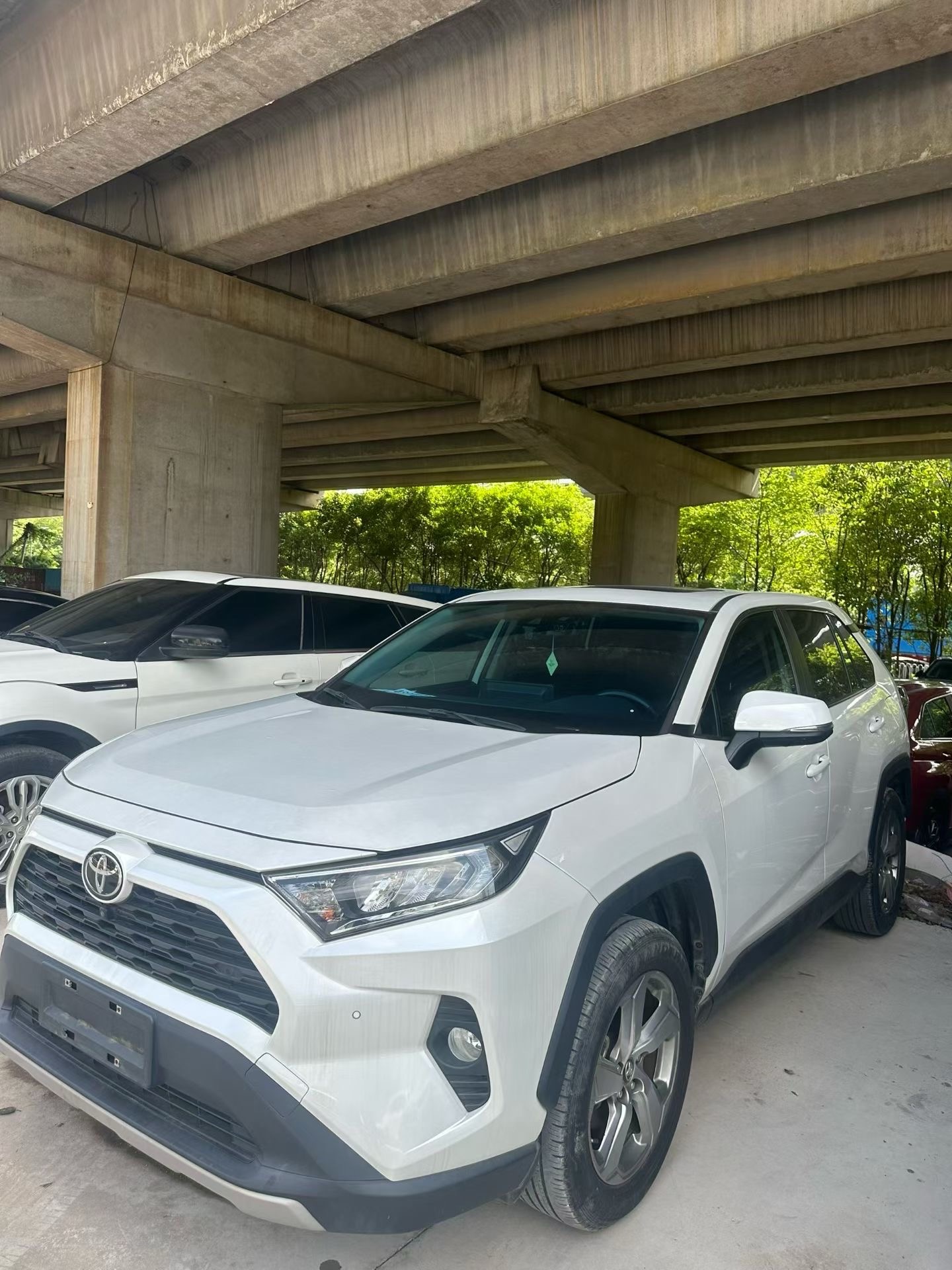 2022 Toyota RAV4 — photo